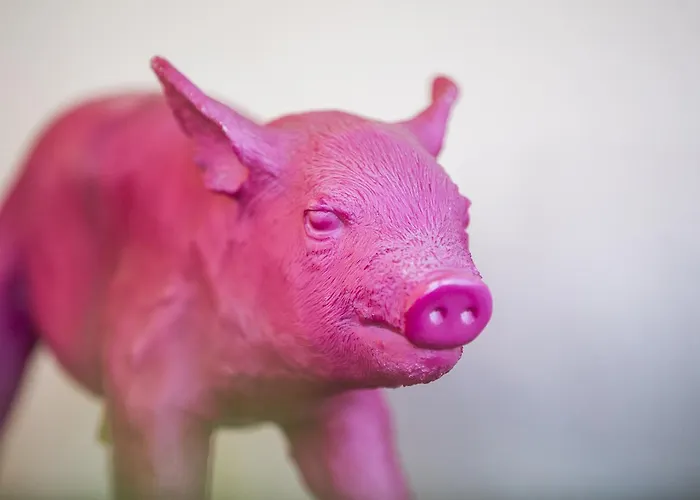 Auszeit - Fruehstueckshotel Otel 3*